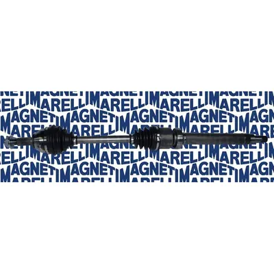 Planetara MAGNETI MARELLI 302004190058