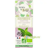 Ulei Esential de Menta de Camp Ecologic/Bio 10ml