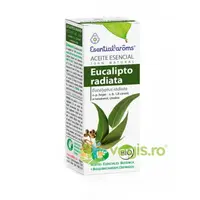 Ulei Esential de Eucaliptus Radiata Bio 10ml