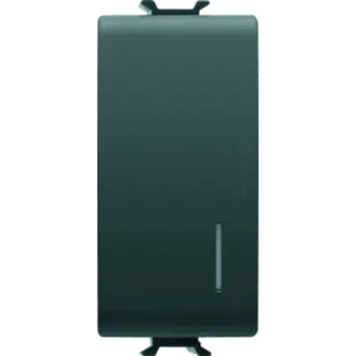 Illuminated Intrerupator cu Revenire - Bus Contacts Interfaces - 1module - Black - Chorus