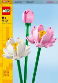Constructor LEGO Iconic - Lotusuri (40647)