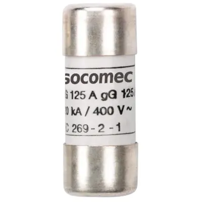 Siguranta Fuzibila Industriala FUS GG 22X58 80A AVEC PERC