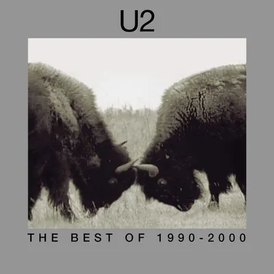 The Best Of 1990-2000 - Vinyl