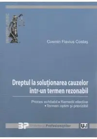 Dreptul la solutionarea cauzelor intr-un termen rezonabil
