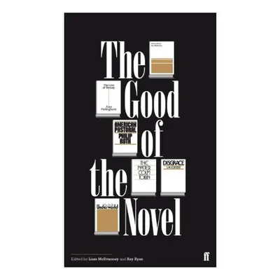 The Good of the Novel