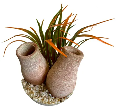 Sydeco Planta Cannon Double14 cm 380472