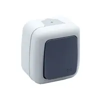 Intrerupator cap scara ELEGANT