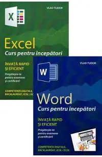 Pachet Excel. Curs pentru incepatori + Word. Curs pentru incepatori