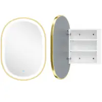 HOMCOM Dulap de Baie cu Oglindă și Lumini LED de 3 Culori Dulap de Perete Oval cu Funcție Memorie și Antiaburire Auriu | Aosom Romania
