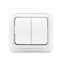 Intrerupator dublu Eco Premium