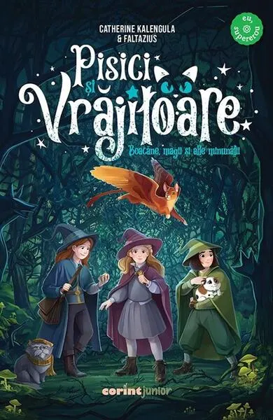 Pisici și vrăjitoare - Paperback brosat - Catherine Kalengula