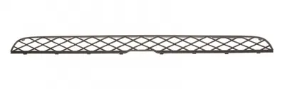 Grila bara fata mijloc, deasupra, negru BMW X5 intre 2007-2010