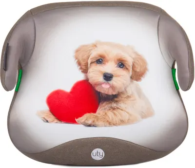 Inaltator scaun auto Chipolino - Uty, i-Size, 125-150 cm, Puppy