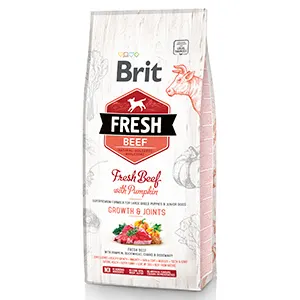 Brit Fresh Beef and Pumpkin Puppy Large 12 kg