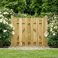 vidaXL Poartă de grădină 100 x 100 cm Lemn masiv de pin Verde