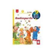 Anotimpurile
