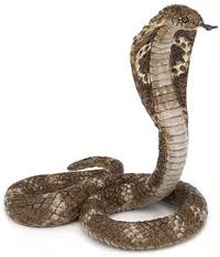 Figurina Papo Wild Animal Kingdom – Cobra regala
