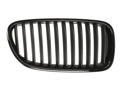 Grila radiator Stanga potrivit BMW 5 (F10), 5 (F11) 2.0-4.4 2009-2017 dupa 2009 - (negru/negru lucios)