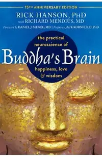 Buddha's Brain: The Practical Neuroscience of Happiness, Love, and Wisdom