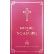Mineiul pe noiembrie