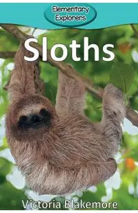 Sloths