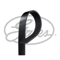 Curea transmisie cu caneluri GATES 8PK1310XS