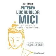 Puterea lucrurilor mici. 52 de exercitii zilnice pentru un creier de Buddha