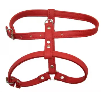 Ham Caini Enjoy Piele Eco, 20 mm