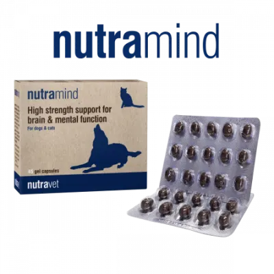 Nutravet Nutramind Sprijin pentru Sanatatea Creierului Caini si Pisici 45 Capsule