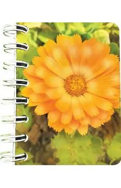 Carnet cu spirala: Floare portocalie. Neliniat
