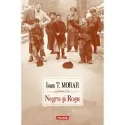 Negru si Rosu