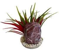 Sydeco Planta Zebra Stone Grass 14 cm 380493