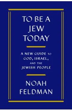 Bad Jew: A Perplexed Guide to God, Israel, and the Jewish People