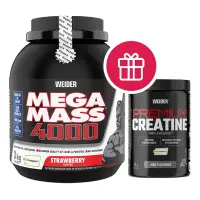 Supliment proteic, Weider Mega Mass 4000, ciocolată, 3 kg