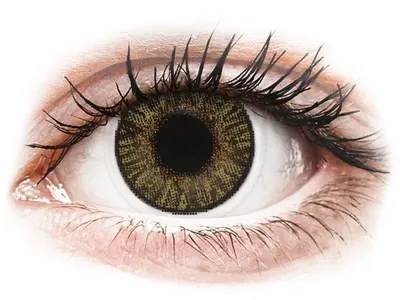 FreshLook ColorBlends Pure Hazel - fără dioptrie (2 lentile)
