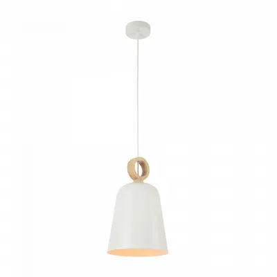 Lampa suspendata Dayton T445-PL-01-W