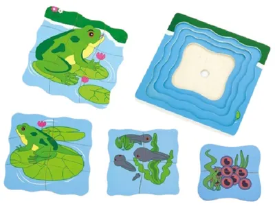 Puzzle educațional Viga - Evoluția unei broaște