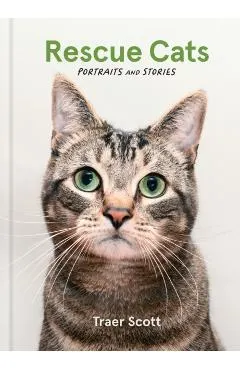 Rescue Cats: Portraits and Stories