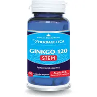 Ginkgo 120 Stem 30cps
