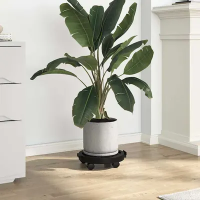 vidaXL Cărucioare de plante cu roți 2 buc. negru diametru 30 cm 170 kg