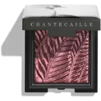 Chantecaille Luminescent Eye Shades fard de ochi perlat Crane 2.5 g