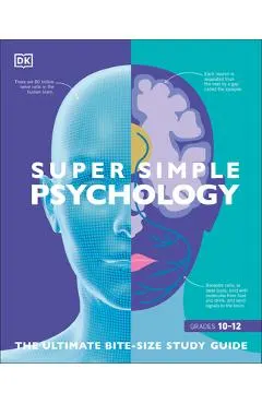 Super Simple Psychology: The Ultimate Bitesize Study Guide