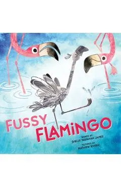 Fussy Flamingo