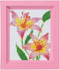 Set creativ cu cadrul și pixel Pixelhobby Classic - Flori