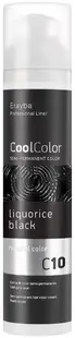 Erayba CoolColor Pigment pentru păr, C10 Liquorice Black, 100 ml