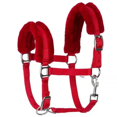 Halter START FoalMink Foal