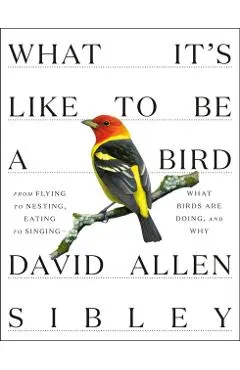 What It's Like to Be a Bird: From Flying to Nesting, Eating to Singing--What Birds Are Doing, and Why