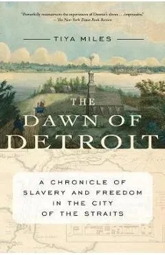 Dawn Of Detroit