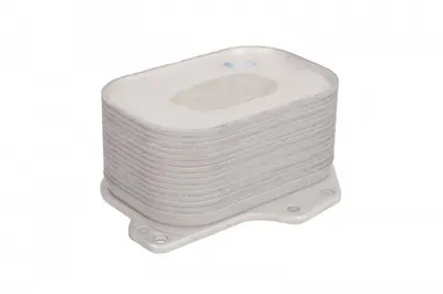 Termoflot Radiator Ulei (80x54x119) Audi A1, A3, Q2, Q3, Tt; Seat Alhambra, Ateca, Leon, Leon Sc, Leon St, Toledo Iv; Skoda Kodiaq, Octavia Iii, Rapid, Superb Iii, Yeti; Vw Beetle, Caddy Alltrack 1.6d