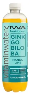 Apă vitaminizată Brain Boost cu Ginkgo Biloba, 600 ml, Viwa